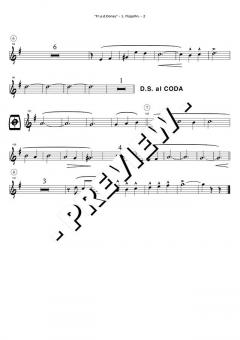 Play Along mit Blasmusik Vol. 2 Set 3 von Original Hofbräuhaus-Festkapelle 