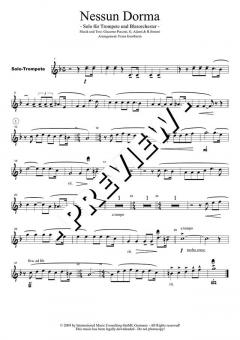 Übungen zum Aufbau von Kraft, Höhe, Ausdauer, Flexibilität, Sicherheit, Ton - DOWNLOAD (Download) 