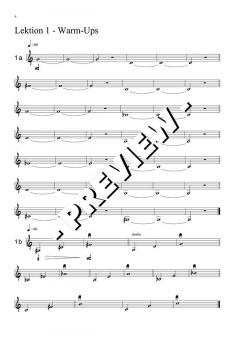 Übungen zum Aufbau von Kraft, Höhe, Ausdauer, Flexibilität, Sicherheit, Ton - DOWNLOAD (Download) 