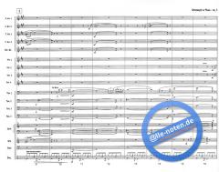 Stranger In Town von Pat Metheny 