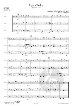 Hymn To Joy von Ludwig van Beethoven 