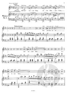 Dorfschwalben aus Österreich von Josef Strauss 