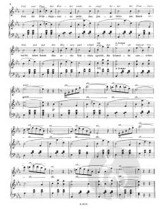 Dorfschwalben aus Österreich von Josef Strauss 