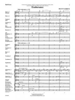 Exuberance von Brant Karrick 