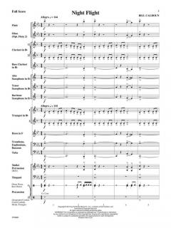 Night Flight (Bill Calhoun) 