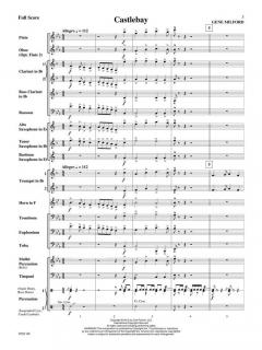 Castlebay von Gene Milford 