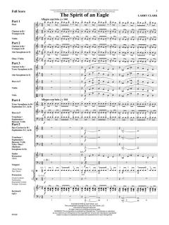 The Spirit Of an Eagle (Larry Clark) 