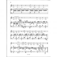 Heiteres Herbarium hoch von Franz Salmhofer 