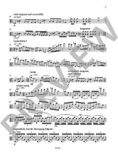 Kamfu von Elisabeth Naske 