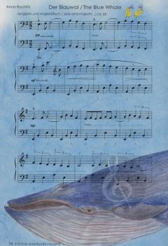 Musikalische Geschichten aus dem Meer von Anne J. Rochlitz 