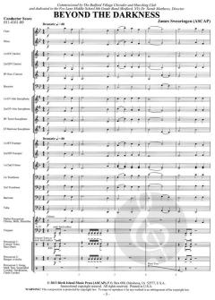 Beyond The Darkness (James Swearingen) 