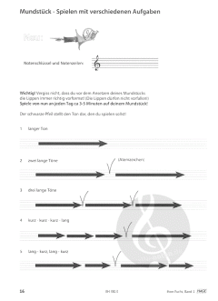 Horn Fuchs Band 1 von Stefan Dünser 