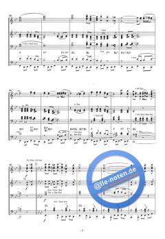 Andrea Berg Hitmix Medley (Andrea Berg) 