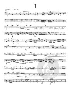 Intermediate Timpani Studies von Mitchell Peters 