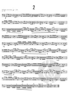 Intermediate Timpani Studies von Mitchell Peters 