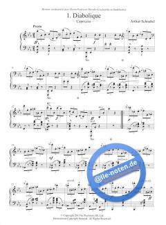 Concert Arias from Sumeida's Song von Mohammed Fairouz 