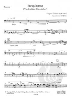 Europa-Hymne 'Freude schönder Götterfunken' (Ludwig van Beethoven) 