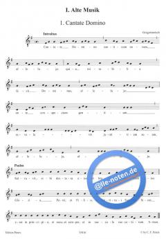 Reine Männersache 2 