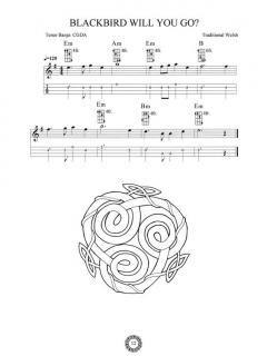 Celtic Songs For The Tenor Banjo von Dick Sheridan im Alle Noten Shop kaufen