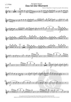 Das ist der Moment (Die Toten Hosen) 