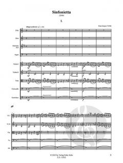 Sinfonietta für Kammerorchester von Franz Surges 