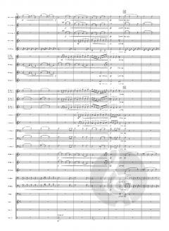 Aurum (Fanfarenorchester) von Bert Appermont 