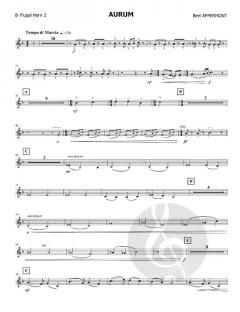 Aurum (Fanfarenorchester) von Bert Appermont 