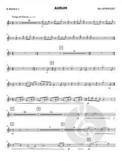 Aurum (Fanfarenorchester) von Bert Appermont 