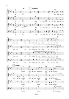 Golgatas krusts von Peteris Vasks 