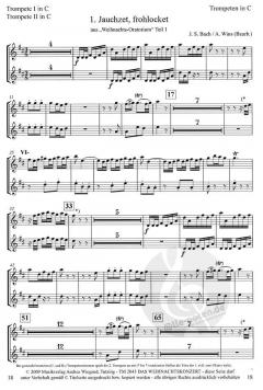 Das Weihnachtskonzert 