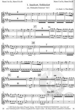 Das Weihnachtskonzert 