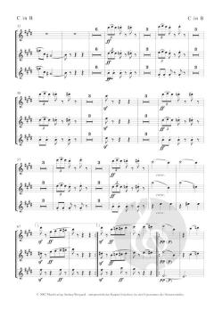 Der Nussknacker von Pjotr Iljitsch Tschaikowski 