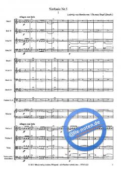 Sinfonie Nr. 5 von Ludwig van Beethoven 