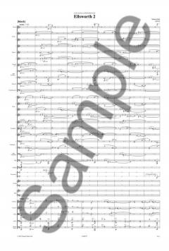 Ellsworth 2 von Simon Holt 