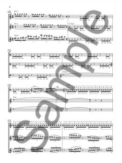 Music For Nine Flutes And Three Voices von Simon Bainbridge 