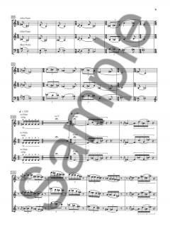 Music For Nine Flutes And Three Voices von Simon Bainbridge 