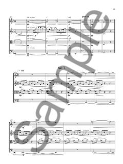 Diacritical Marks von Nico Muhly 