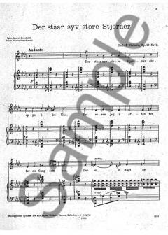 Der Star Syv Store Stjerne von Ludolf Nielsen 