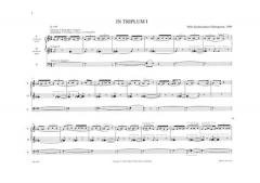 In Triplum I-II-III von Pelle Gudmundsen-Holmgreen 