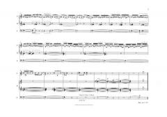 In Triplum I-II-III von Pelle Gudmundsen-Holmgreen 