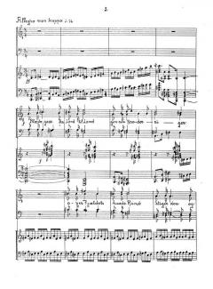 Blaesten Og Sangen von Finn Hoffding 