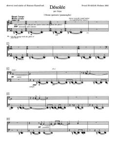 Desolee von Svend Hvidtfelt Nielsen 