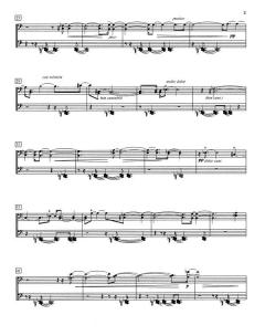 Desolee von Svend Hvidtfelt Nielsen 