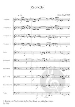 Capriccio (Stefan Mey) 