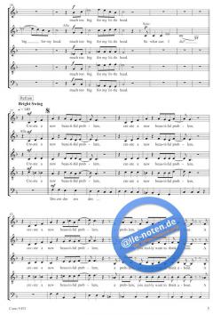 Create a new beautiful problem (Michael Betzner-Brandt) 