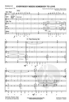 Everybody Needs Somebody (The Blues Brothers) 