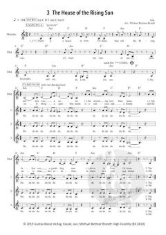 High Fossility von Michael Betzner-Brandt 