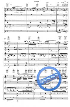 Für Elise (Ludwig van Beethoven) 