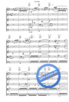 Für Elise (Ludwig van Beethoven) 