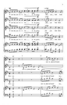 If You Visit Me (Kevin A. Memley) 